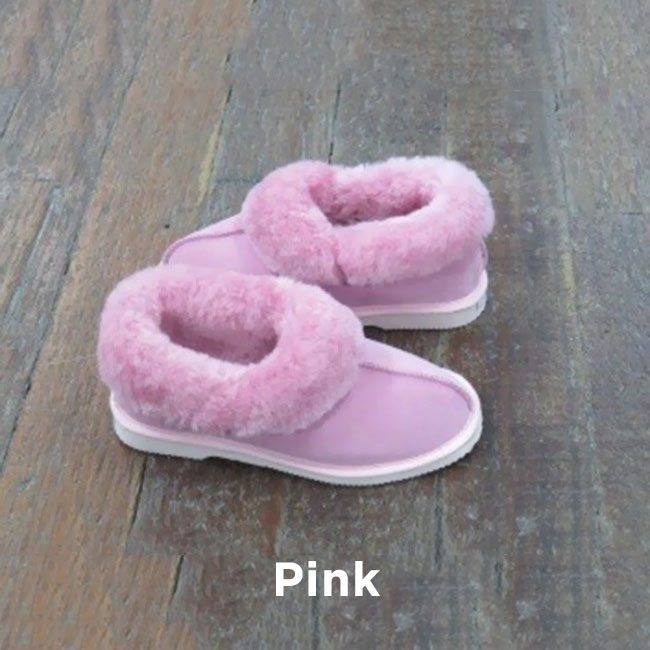 Pink Royal Slipper Perth