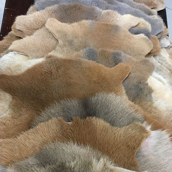 Kangaroo Skin Rugs - Eagle Wools - Australian Made Products