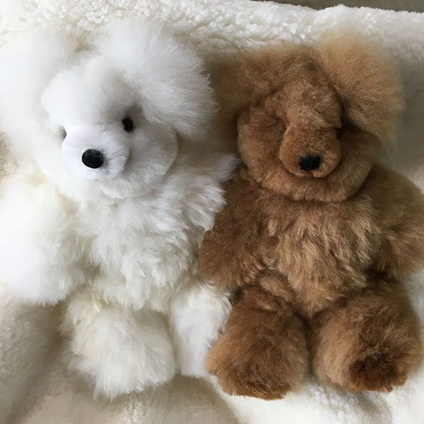 fluffy bears